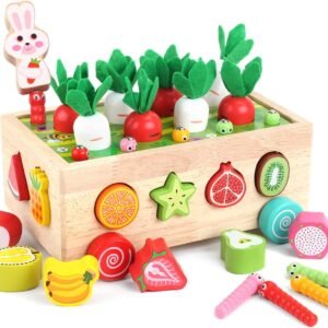 Montessori Wooden Sorting Toy – Educational Gift for Toddlers